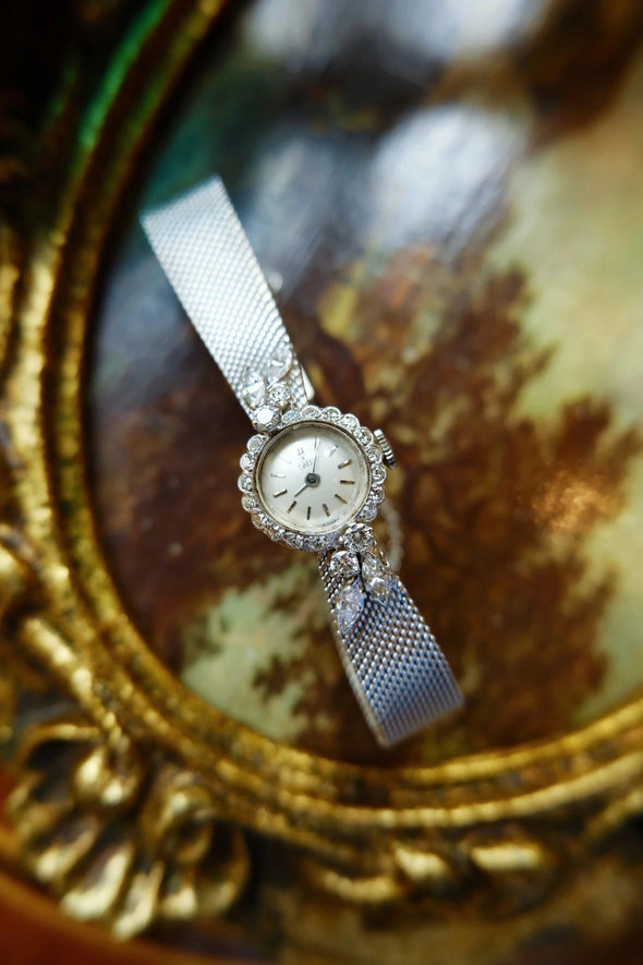 Ebel 14 Karat white gold diamond ladies watch
