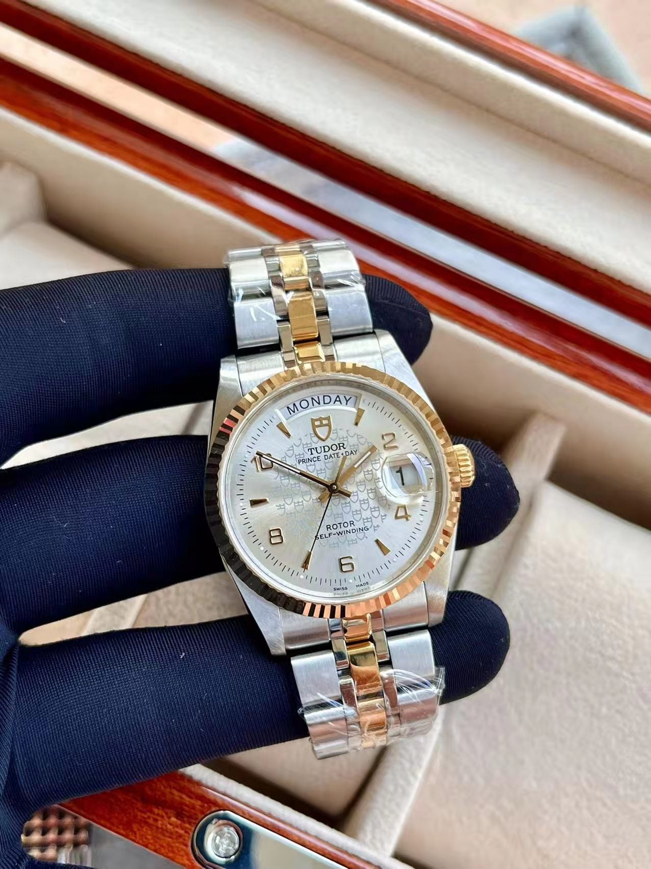 Tudor watch 2025 logo